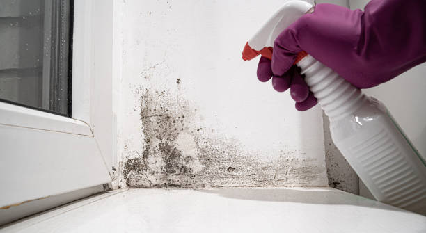 Best Water damage restoration services  in Groveville, NJ